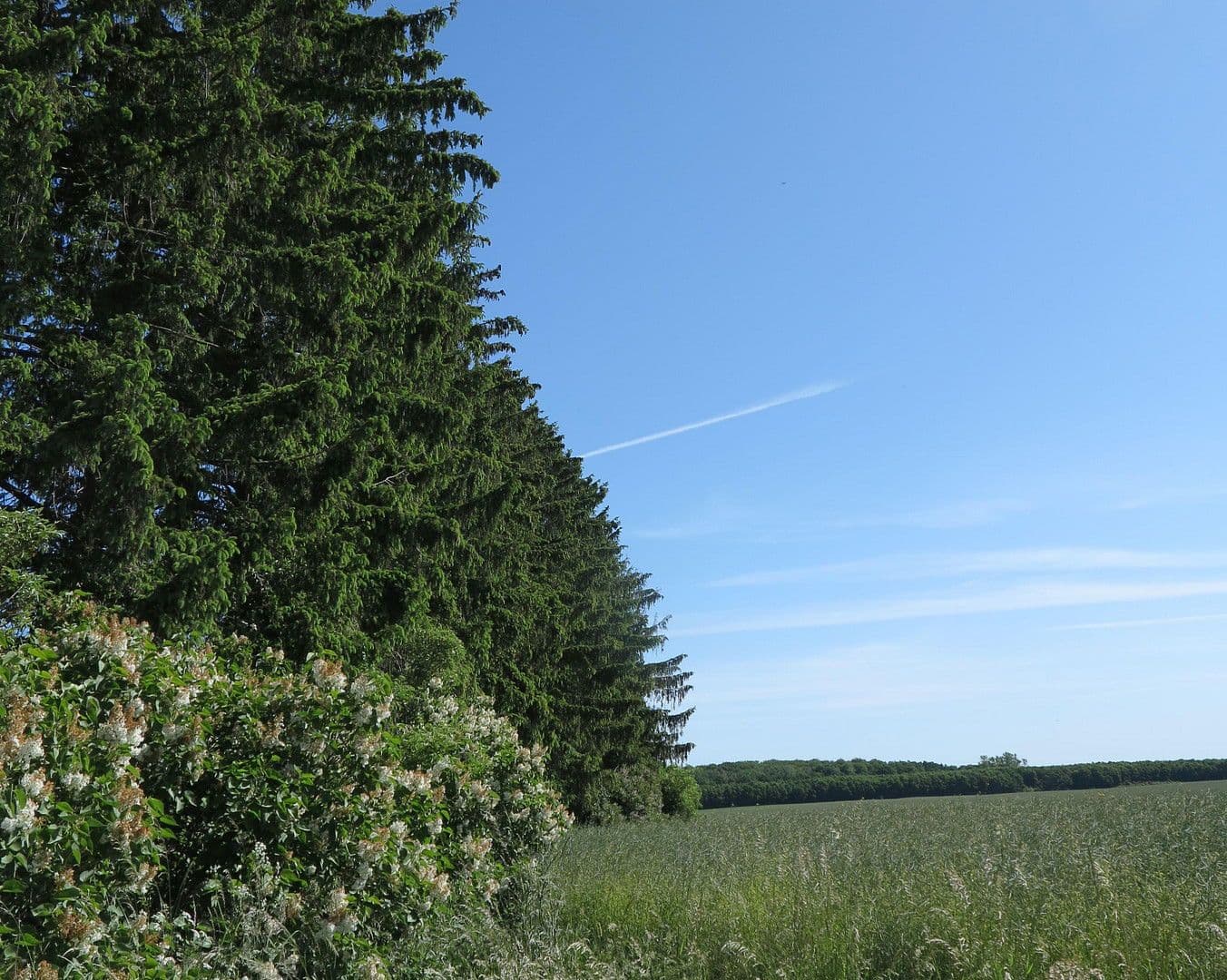 house for sale, 1,200 m², Ivenack, Mecklenburg-Vorpommern house for sale, 1,200 m², Ivenack, Mecklenburg-Vorpommern