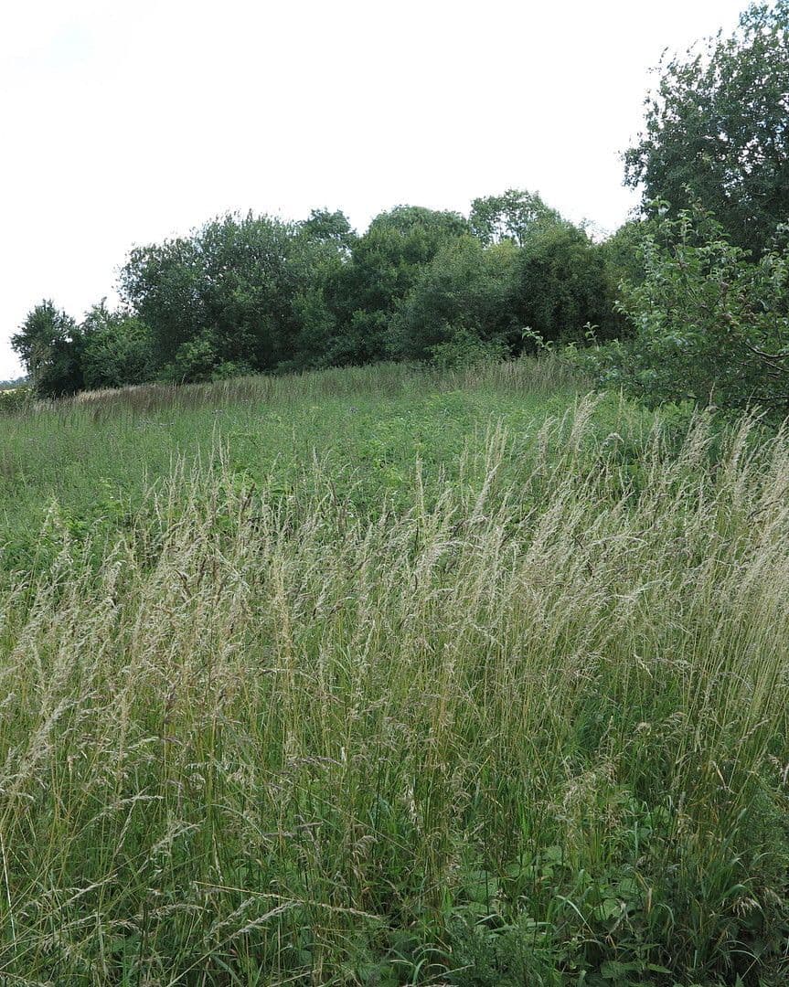 house for sale, 1,200 m², Ivenack, Mecklenburg-Vorpommern house for sale, 1,200 m², Ivenack, Mecklenburg-Vorpommern