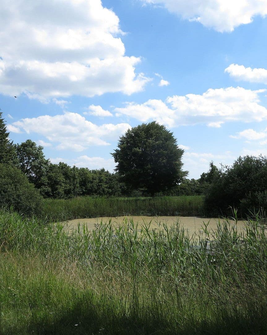 house for sale, 1,200 m², Ivenack, Mecklenburg-Vorpommern house for sale, 1,200 m², Ivenack, Mecklenburg-Vorpommern