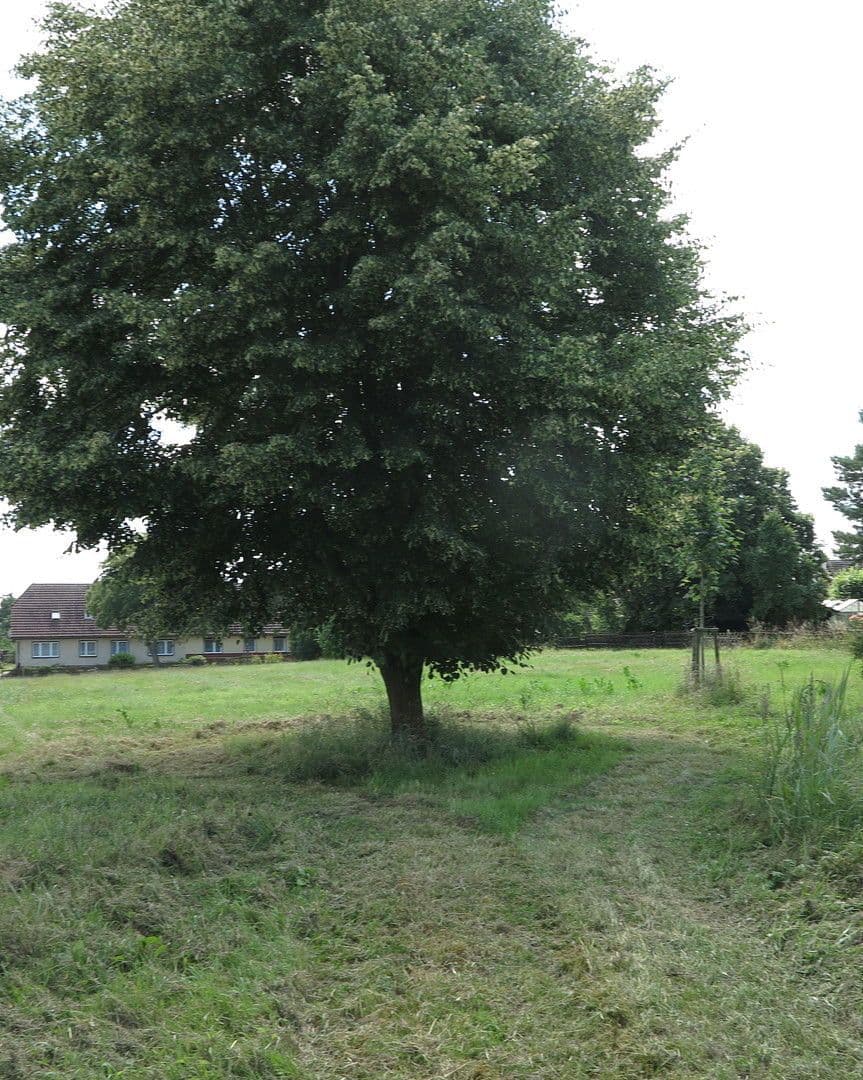 house for sale, 1,200 m², Ivenack, Mecklenburg-Vorpommern house for sale, 1,200 m², Ivenack, Mecklenburg-Vorpommern