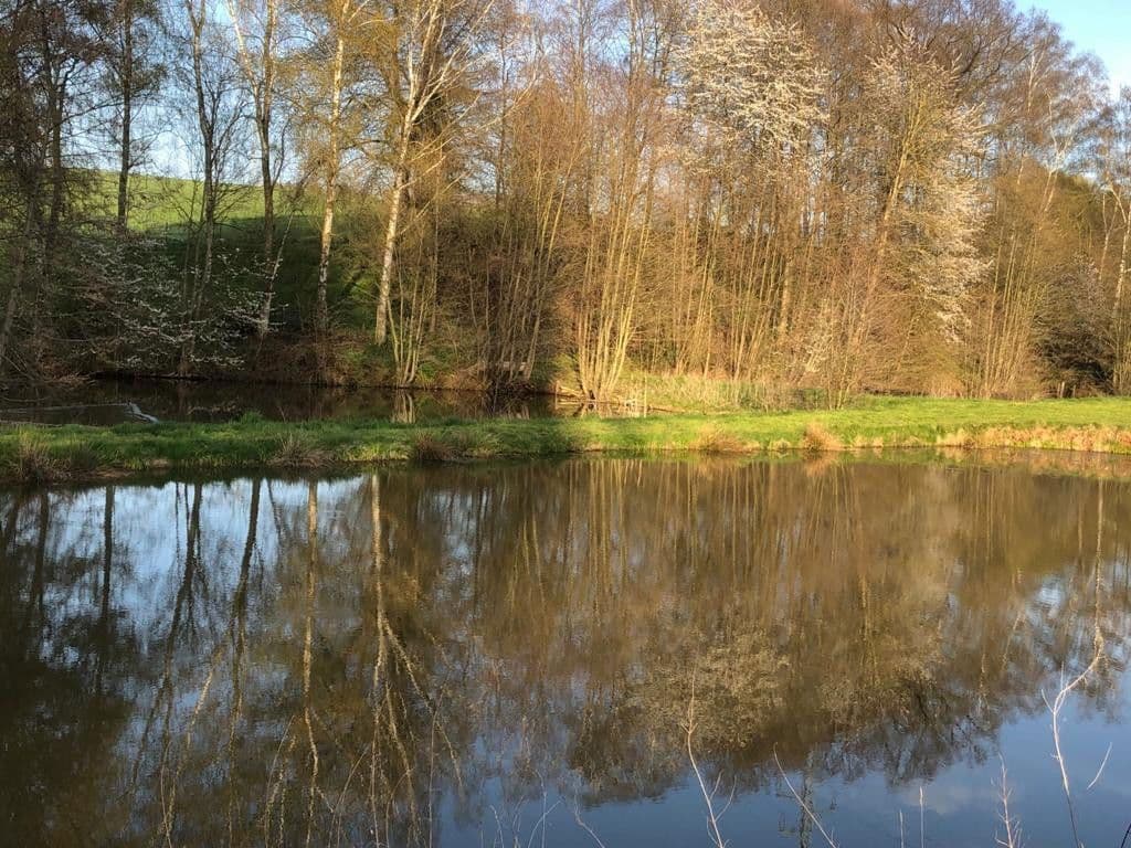 plot to rent, 9,000 m², Lange Reihe, Seesen, Lower Saxony plot to rent, 9,000 m², Lange Reihe, Seesen, Lower Saxony