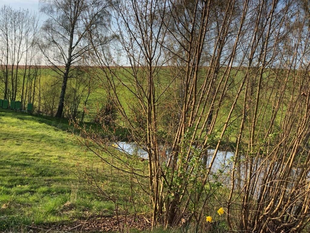 plot to rent, 9,000 m², Lange Reihe, Seesen, Lower Saxony plot to rent, 9,000 m², Lange Reihe, Seesen, Lower Saxony