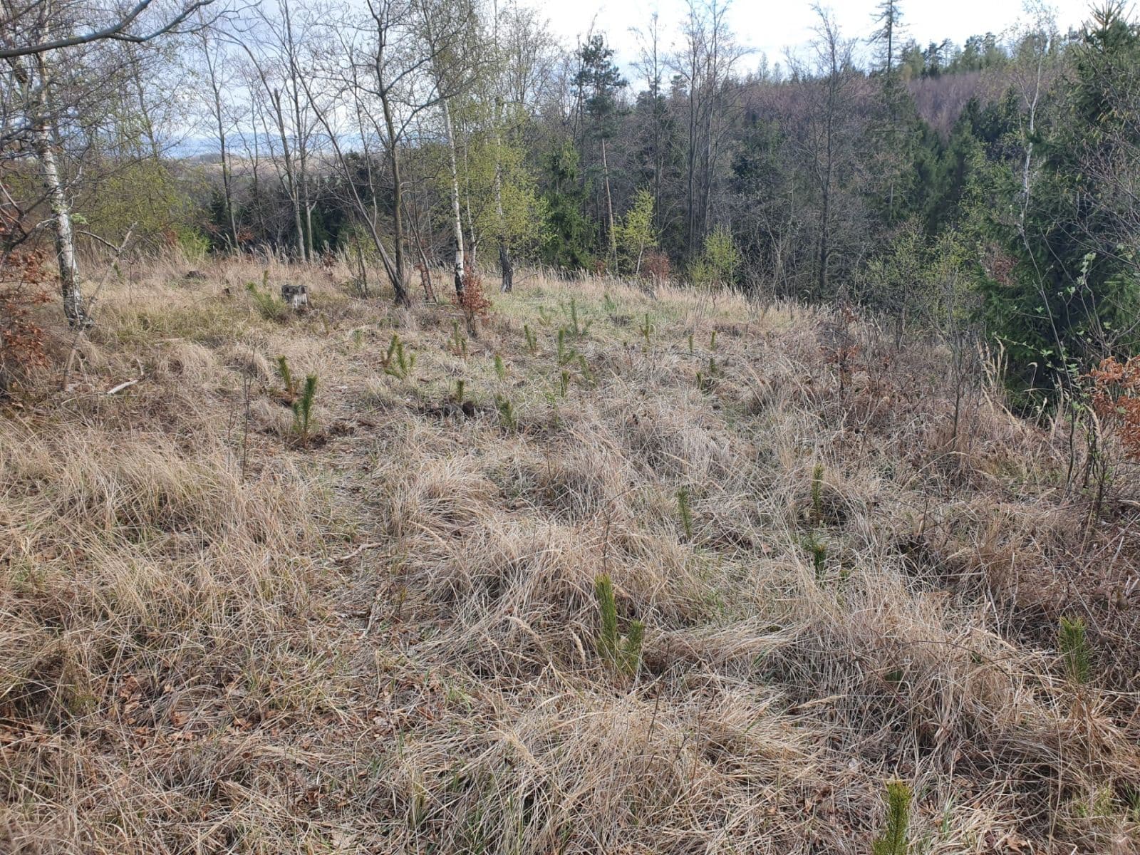 plot for sale, 31,850 m², Bílovec, Moravskoslezský Region plot for sale, 31,850 m², Bílovec, Moravskoslezský Region