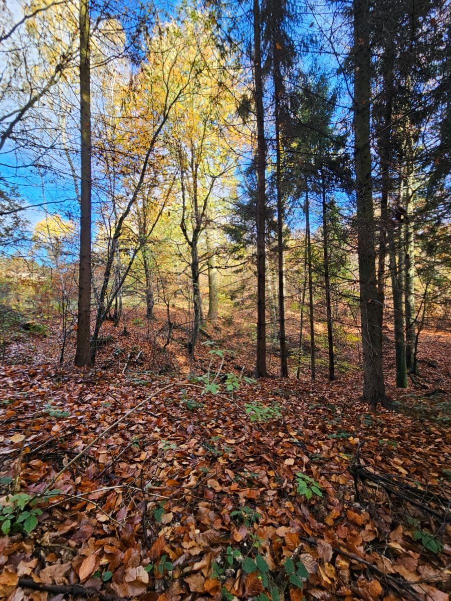 plot for sale, 31,850 m², Bílovec, Moravskoslezský Region plot for sale, 31,850 m², Bílovec, Moravskoslezský Region