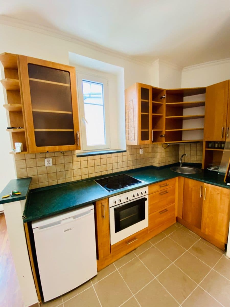 1 bedroom with open-plan kitchen flat to rent, 53 m², Na Dědince, Prague, Prague 1 bedroom with open-plan kitchen flat to rent, 53 m², Na Dědince, Prague, Prague