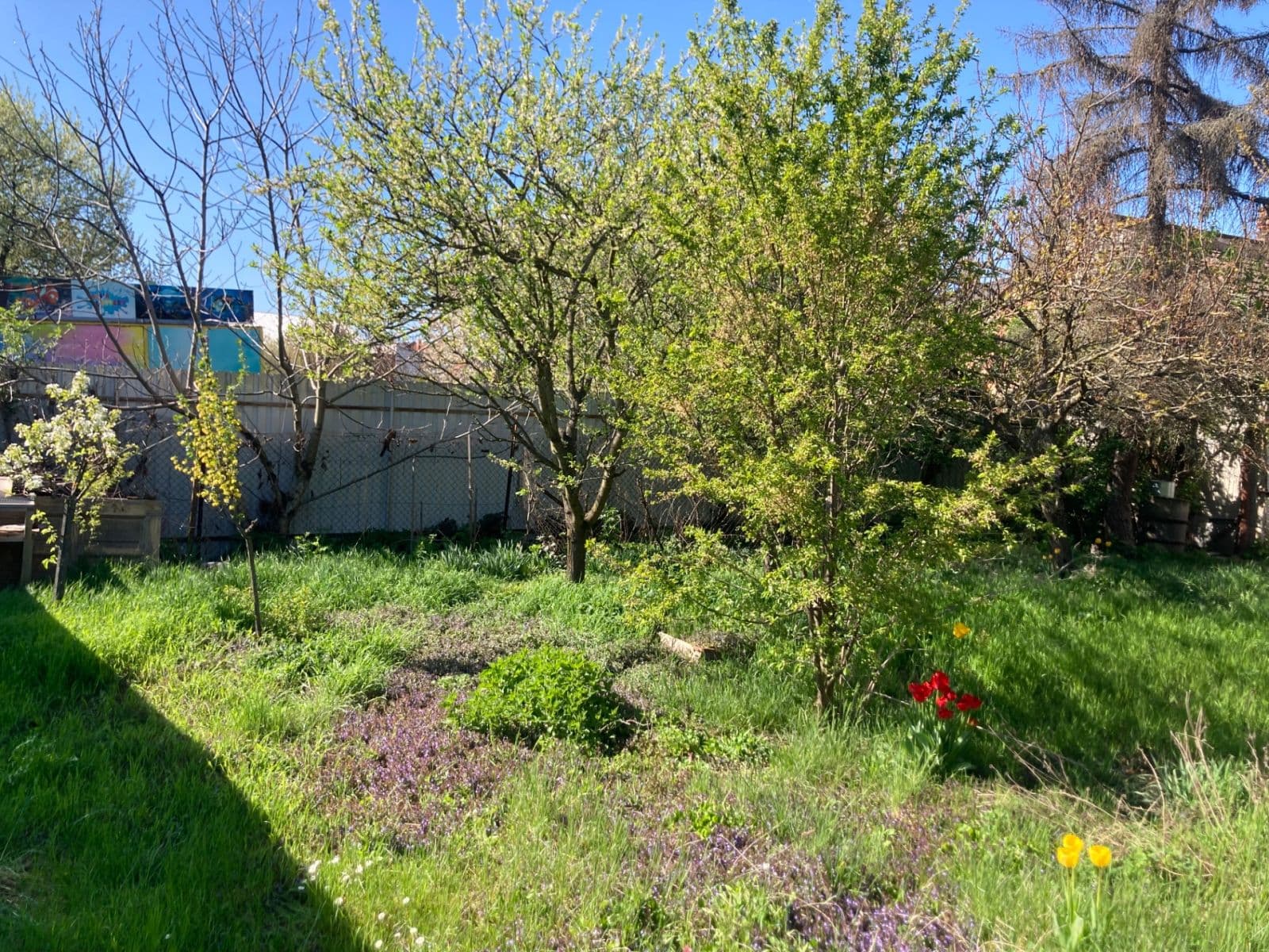 house for sale, 163 m², Kostelec na Hané, Olomoucký Region house for sale, 163 m², Kostelec na Hané, Olomoucký Region