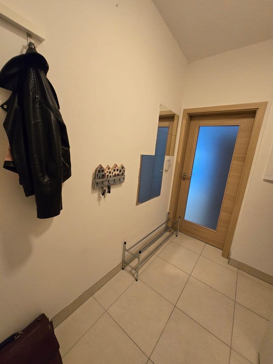 1 bedroom with open-plan kitchen flat to rent, 52 m², Pod Radnicí, Prague, Prague 1 bedroom with open-plan kitchen flat to rent, 52 m², Pod Radnicí, Prague, Prague