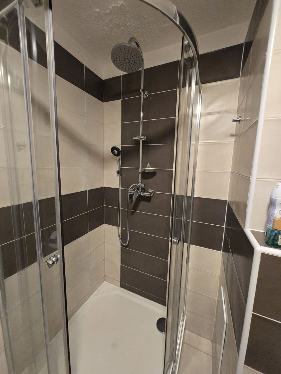 1 bedroom with open-plan kitchen flat to rent, 52 m², Pod Radnicí, Prague, Prague 1 bedroom with open-plan kitchen flat to rent, 52 m², Pod Radnicí, Prague, Prague