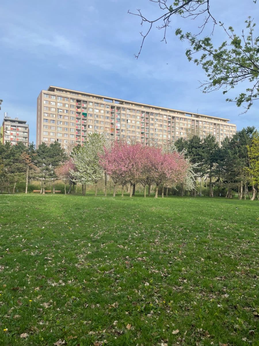 1 bedroom with open-plan kitchen flat to rent, 45 m², Kurkova, Prague, Prague 1 bedroom with open-plan kitchen flat to rent, 45 m², Kurkova, Prague, Prague