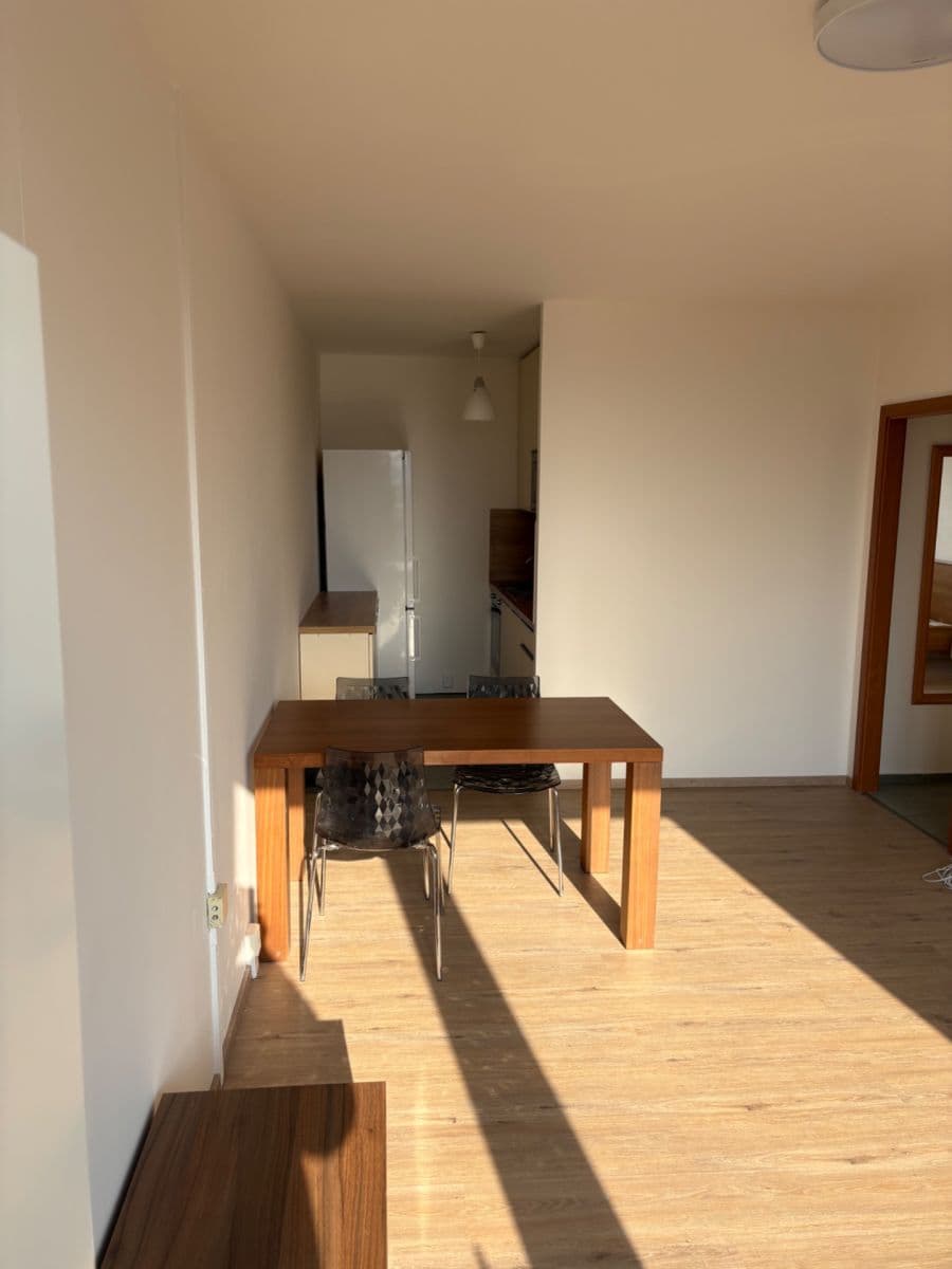 1 bedroom with open-plan kitchen flat to rent, 45 m², Kurkova, Prague, Prague 1 bedroom with open-plan kitchen flat to rent, 45 m², Kurkova, Prague, Prague