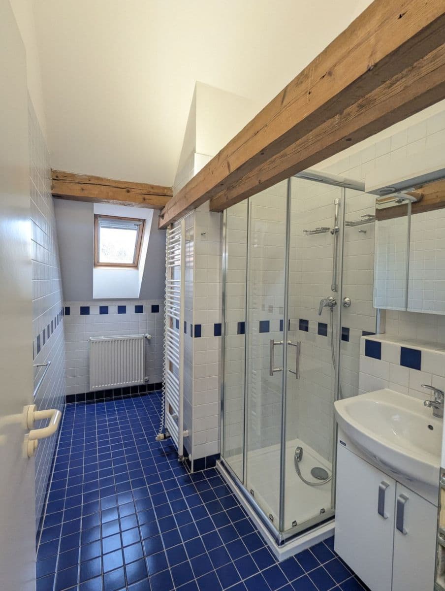 1 bedroom with open-plan kitchen flat to rent, 67 m², Evropská, Prague, Prague 1 bedroom with open-plan kitchen flat to rent, 67 m², Evropská, Prague, Prague