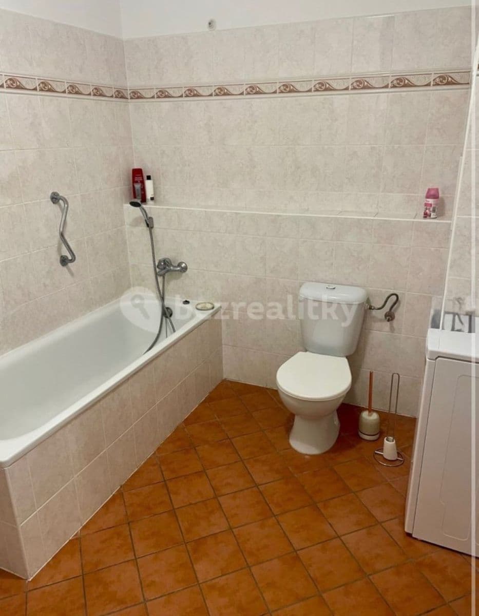 1 bedroom with open-plan kitchen flat to rent, 58 m², Jaromíra Vejvody, Prague, Prague 1 bedroom with open-plan kitchen flat to rent, 58 m², Jaromíra Vejvody, Prague, Prague