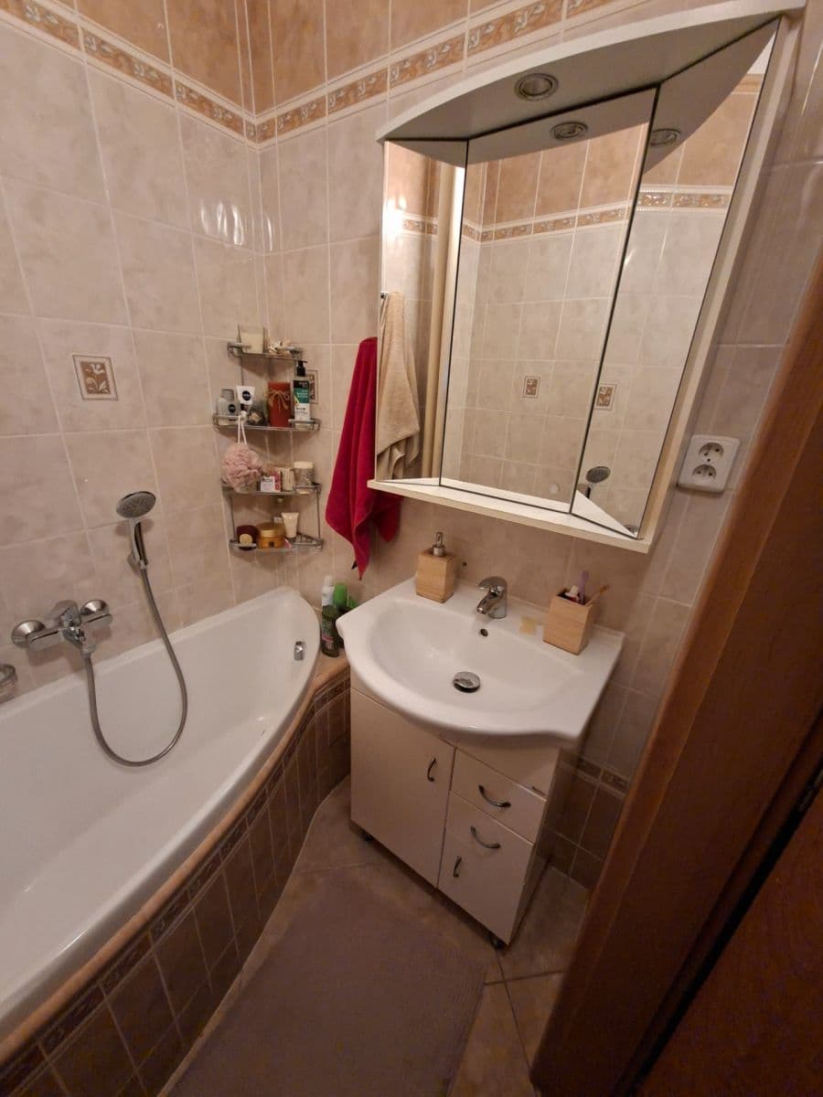 3 bedroom flat for sale, 73 m², Merhautova, Brno, Jihomoravský Region 3 bedroom flat for sale, 73 m², Merhautova, Brno, Jihomoravský Region