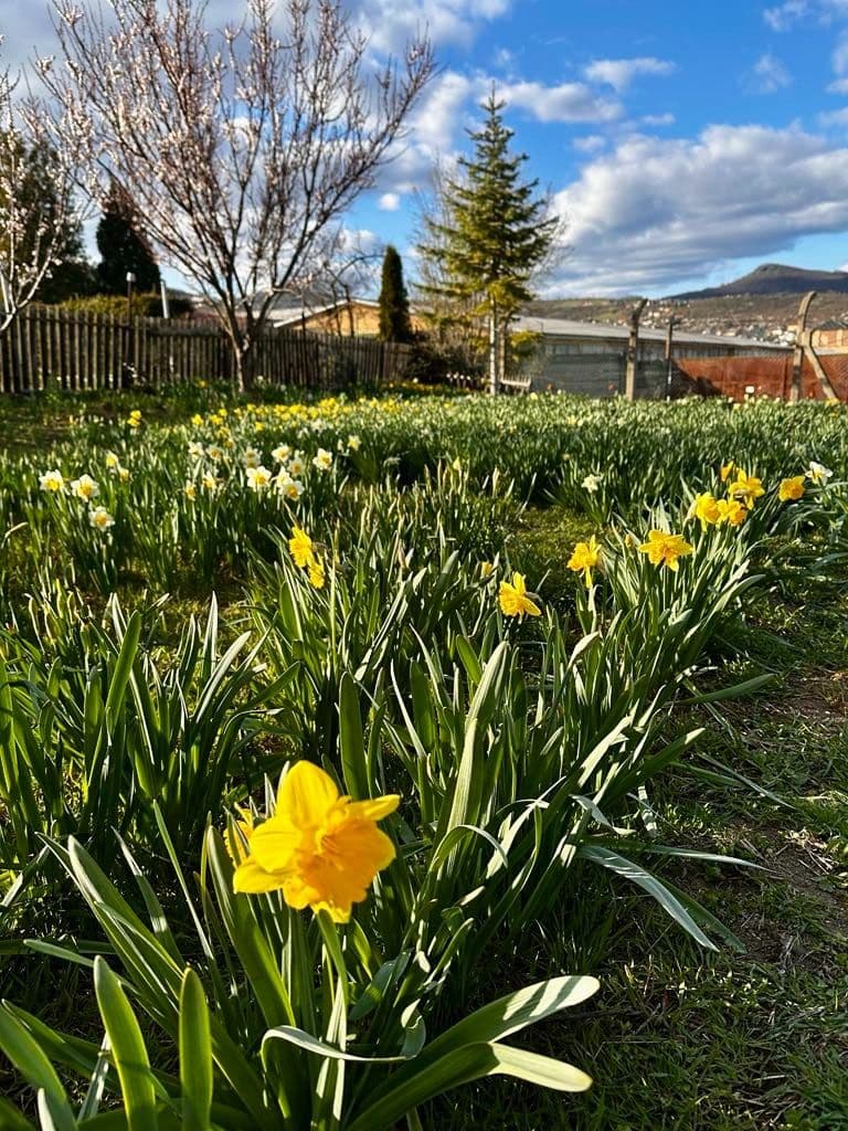 plot for sale, 888 m², Litoměřice, Ústecký Region plot for sale, 888 m², Litoměřice, Ústecký Region