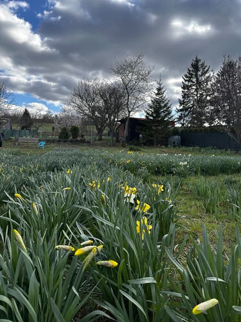 plot for sale, 888 m², Litoměřice, Ústecký Region plot for sale, 888 m², Litoměřice, Ústecký Region