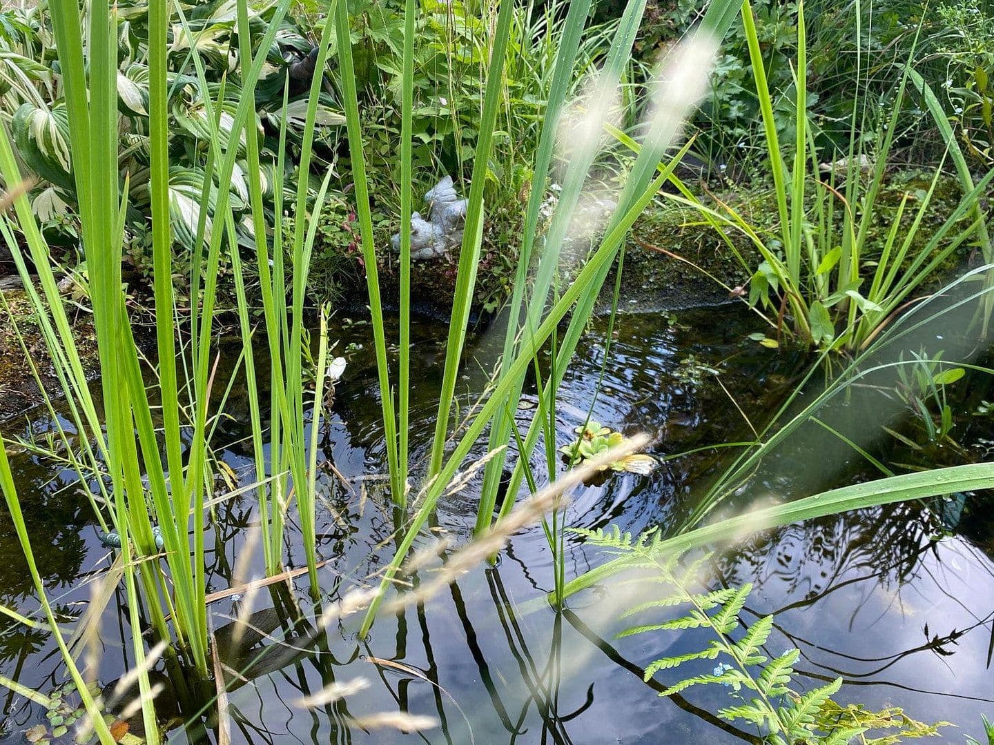 2 bedroom flat to rent, 80 m², Rüdigerstraße 100, Köln-Merheim, North Rhine-Westphalia 2 bedroom flat to rent, 80 m², Rüdigerstraße 100, Köln-Merheim, North Rhine-Westphalia