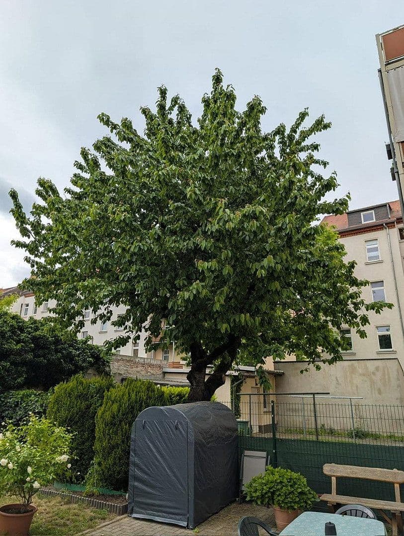 2 bedroom flat to rent, 60 m², Markkleeberg, Saxony 2 bedroom flat to rent, 60 m², Markkleeberg, Saxony