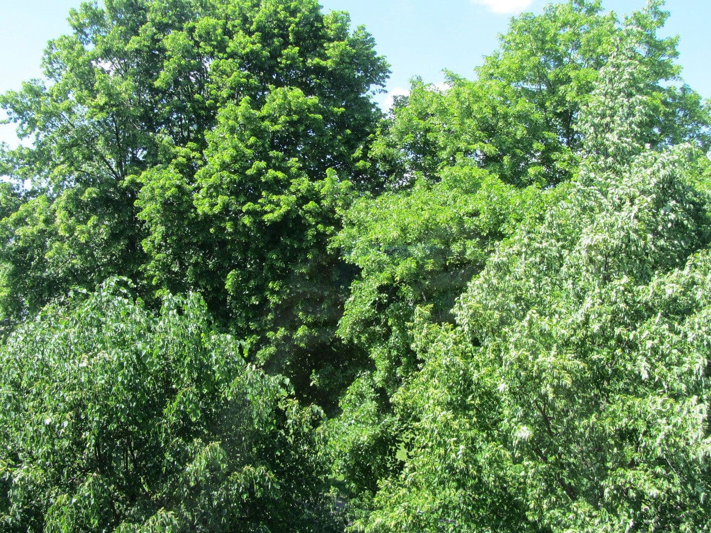 2 bedroom flat for sale, 57 m², Alfter, North Rhine-Westphalia 2 bedroom flat for sale, 57 m², Alfter, North Rhine-Westphalia