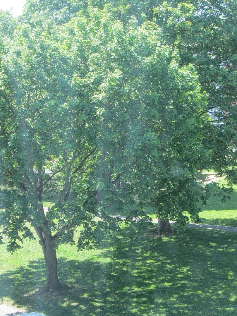 2 bedroom flat for sale, 57 m², Alfter, North Rhine-Westphalia 2 bedroom flat for sale, 57 m², Alfter, North Rhine-Westphalia