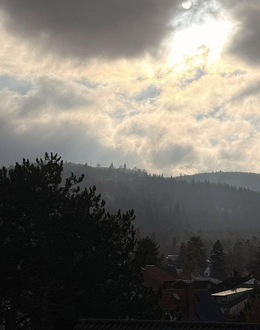 house for sale, 298 m², Elizabeth-Duncan-Weg 6, Darmstadt, Hesse house for sale, 298 m², Elizabeth-Duncan-Weg 6, Darmstadt, Hesse