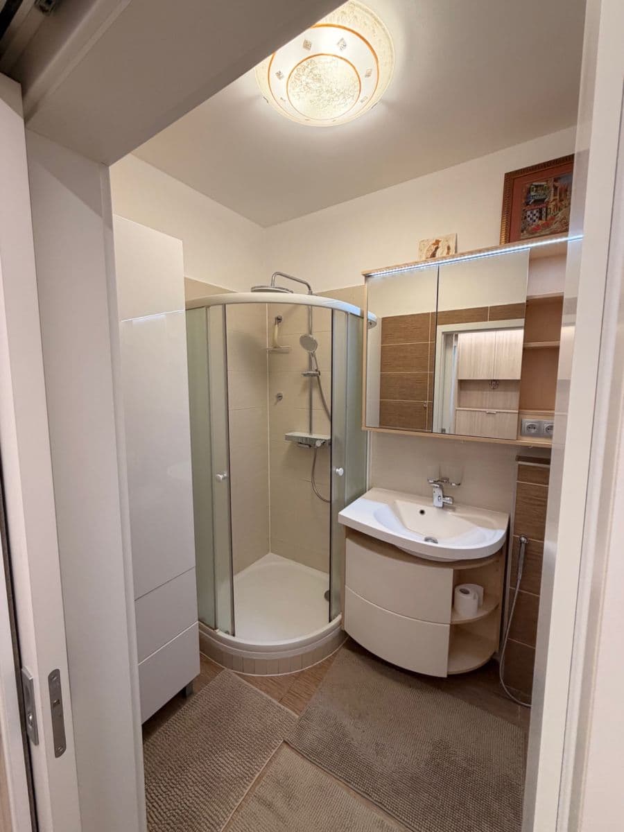 1 bedroom with open-plan kitchen flat to rent, 45 m², Kounicova, Brno, Jihomoravský Region 1 bedroom with open-plan kitchen flat to rent, 45 m², Kounicova, Brno, Jihomoravský Region