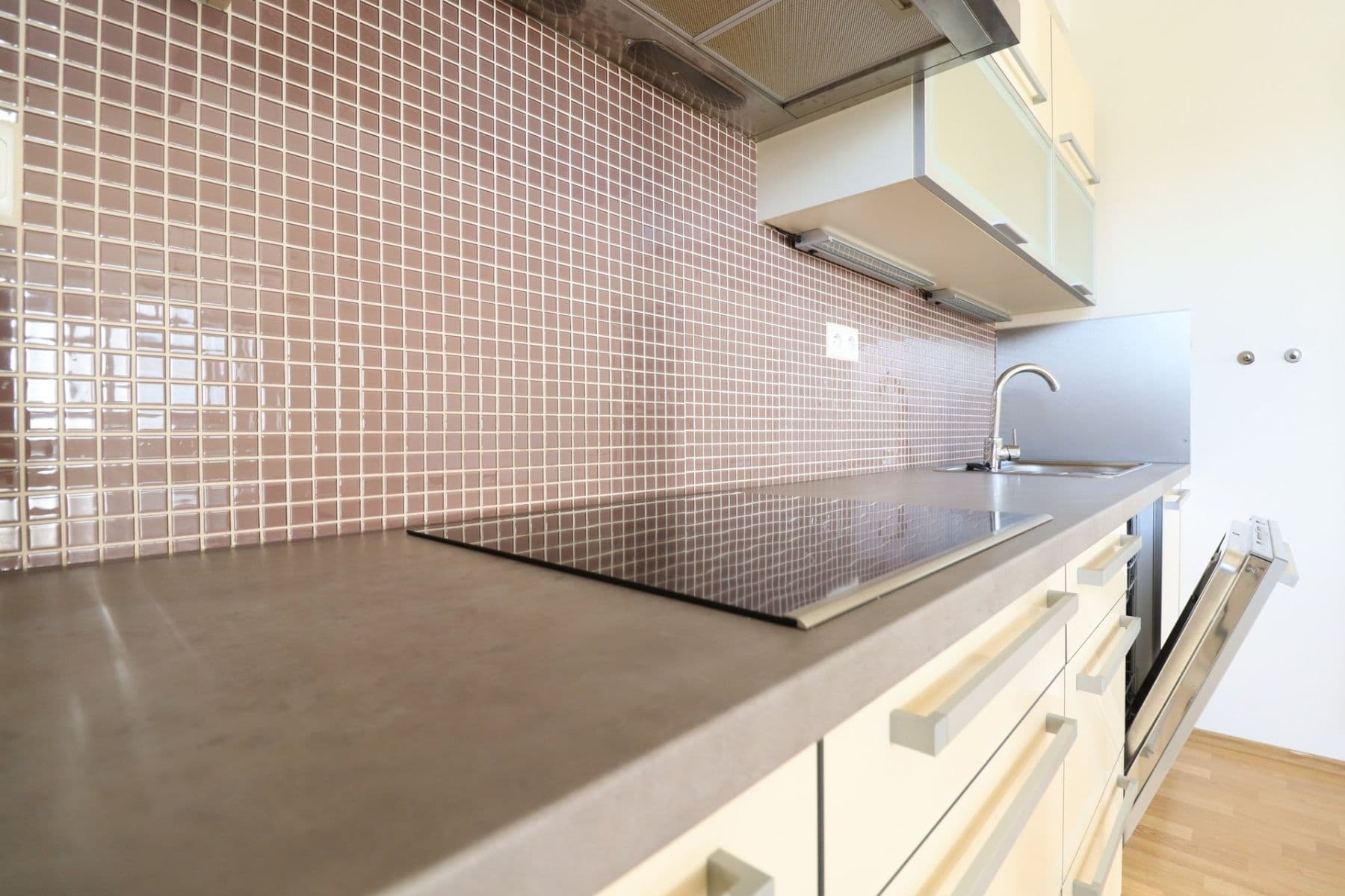 1 bedroom with open-plan kitchen flat to rent, 67 m², Přeučilova, Prague, Prague 1 bedroom with open-plan kitchen flat to rent, 67 m², Přeučilova, Prague, Prague