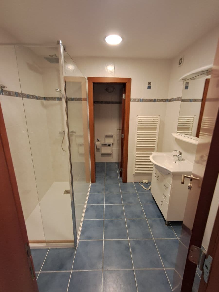 1 bedroom with open-plan kitchen flat to rent, 44 m², Hradecká, Prague, Prague 1 bedroom with open-plan kitchen flat to rent, 44 m², Hradecká, Prague, Prague