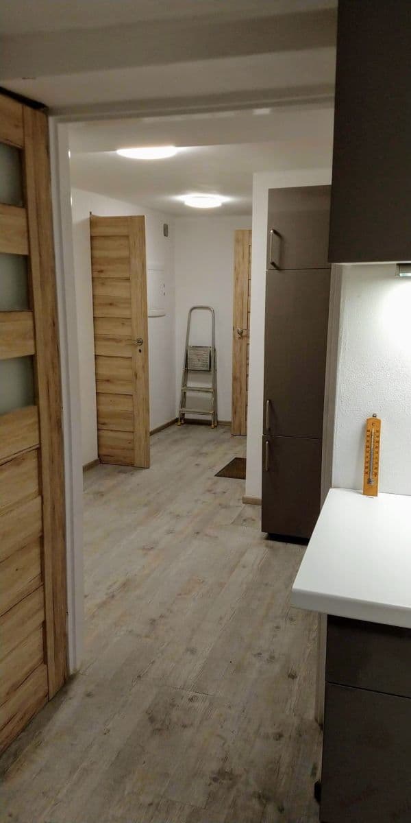 1 bedroom with open-plan kitchen flat to rent, 50 m², Květová, Prague, Prague 1 bedroom with open-plan kitchen flat to rent, 50 m², Květová, Prague, Prague