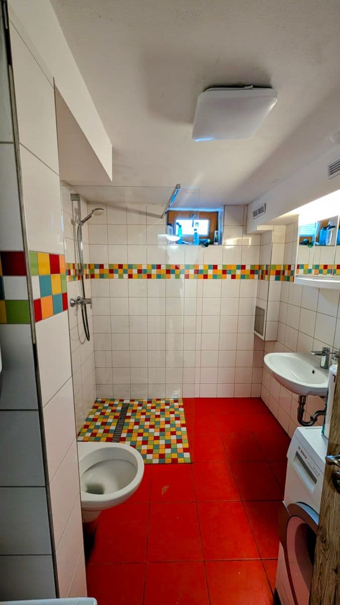 1 bedroom with open-plan kitchen flat to rent, 50 m², Květová, Prague, Prague 1 bedroom with open-plan kitchen flat to rent, 50 m², Květová, Prague, Prague