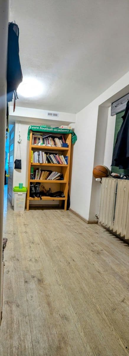 1 bedroom with open-plan kitchen flat to rent, 50 m², Květová, Prague, Prague 1 bedroom with open-plan kitchen flat to rent, 50 m², Květová, Prague, Prague