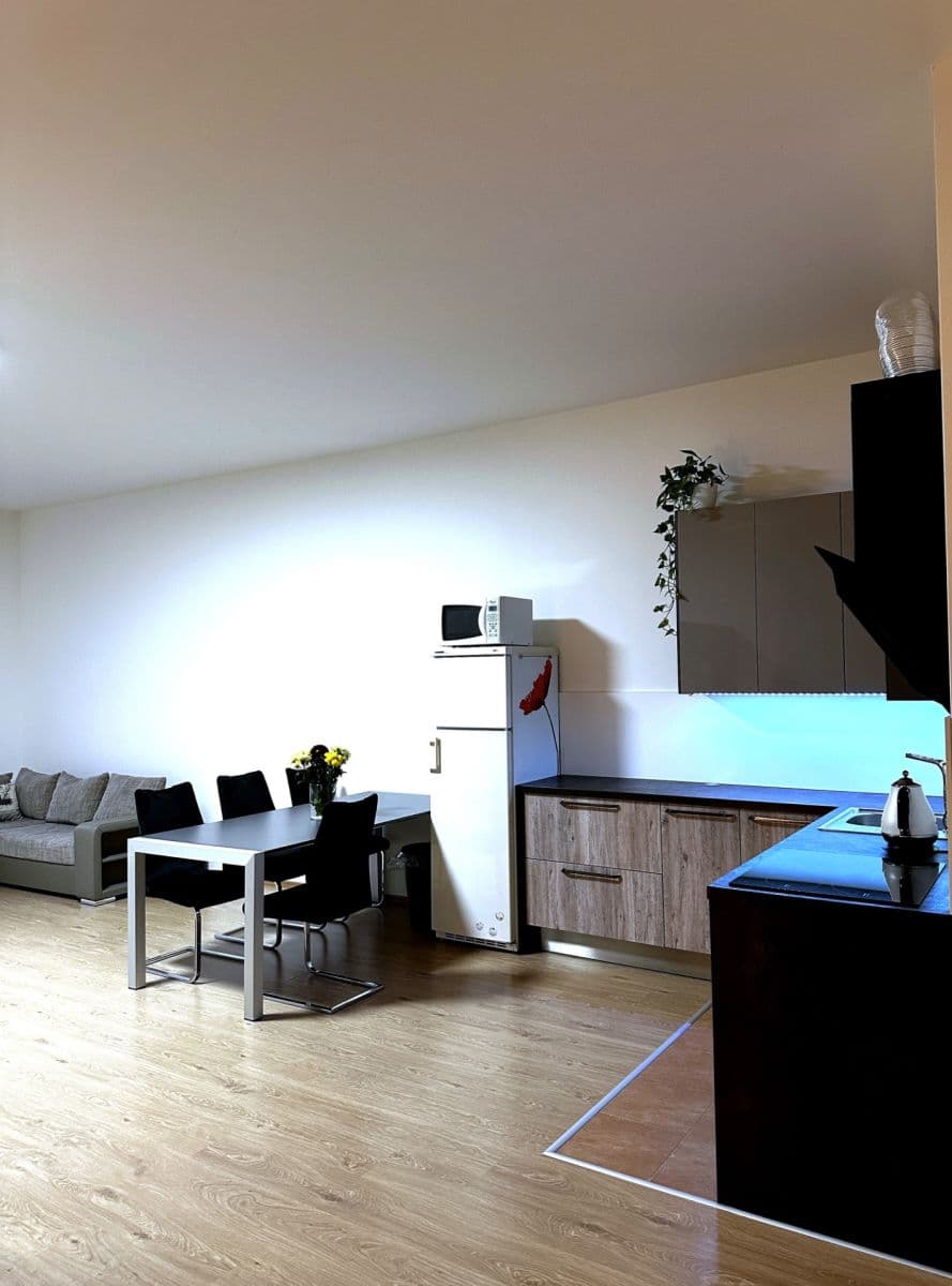 Studio flat to rent, 66 m², Březenská, Prague, Prague Studio flat to rent, 66 m², Březenská, Prague, Prague