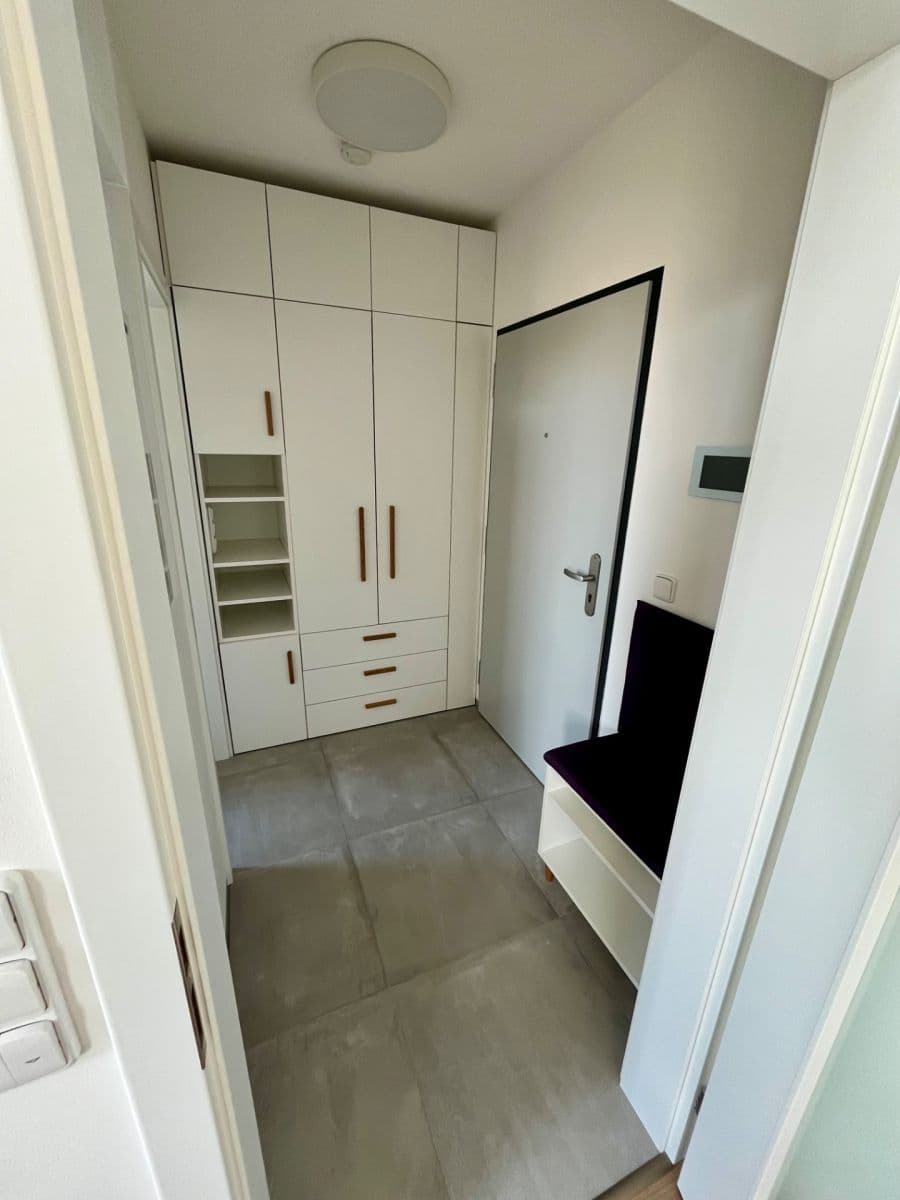 1 bedroom with open-plan kitchen flat to rent, 37 m², Třebohostická, Prague, Prague 1 bedroom with open-plan kitchen flat to rent, 37 m², Třebohostická, Prague, Prague