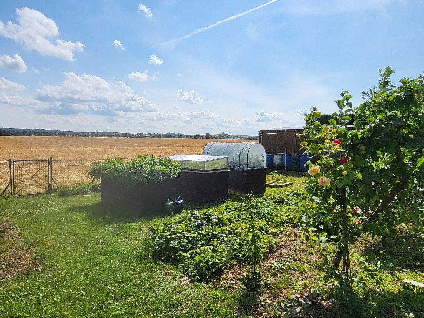 house for sale, 180 m², Riedenweg 4, Kühlungsborn, Mecklenburg-Vorpommern house for sale, 180 m², Riedenweg 4, Kühlungsborn, Mecklenburg-Vorpommern