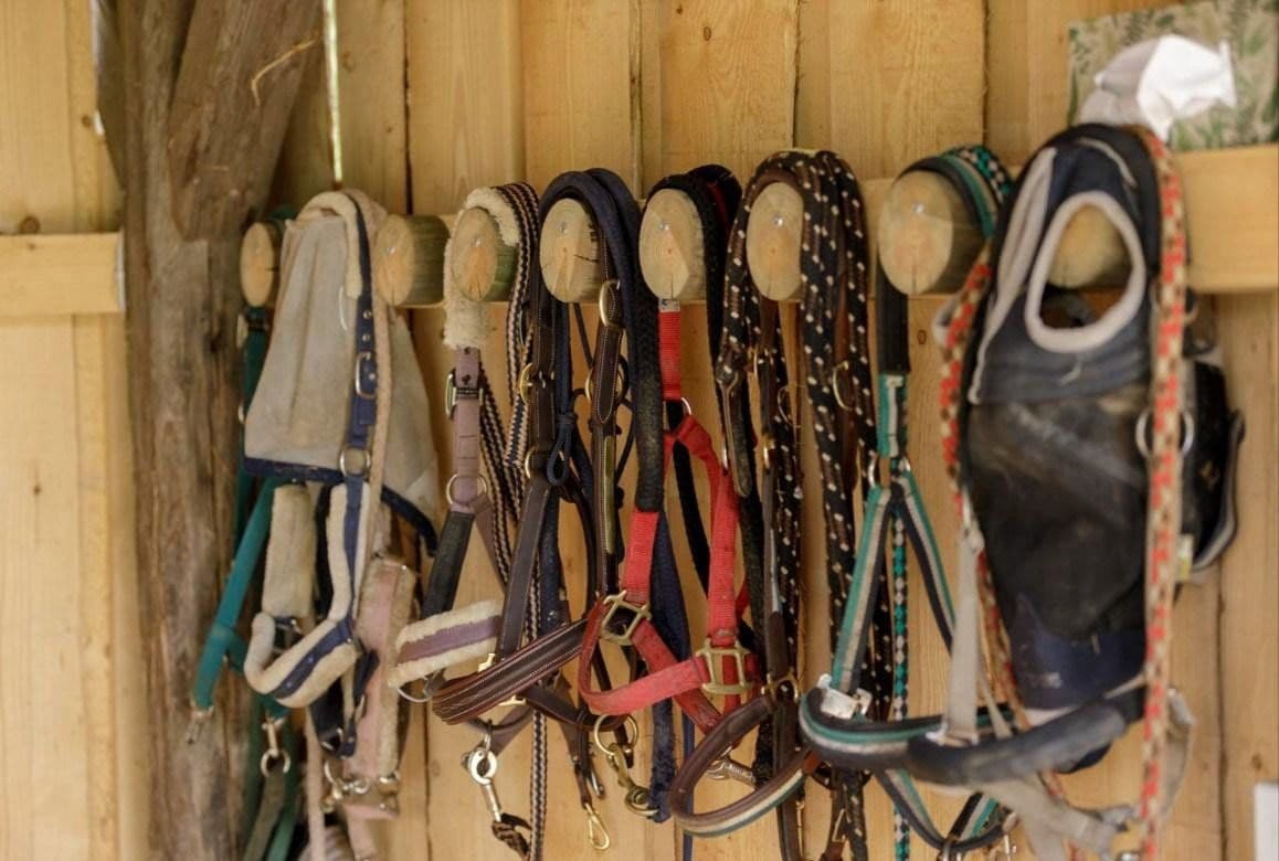 plot for sale, 820,000 m², Salem, Baden-Württemberg plot for sale, 820,000 m², Salem, Baden-Württemberg