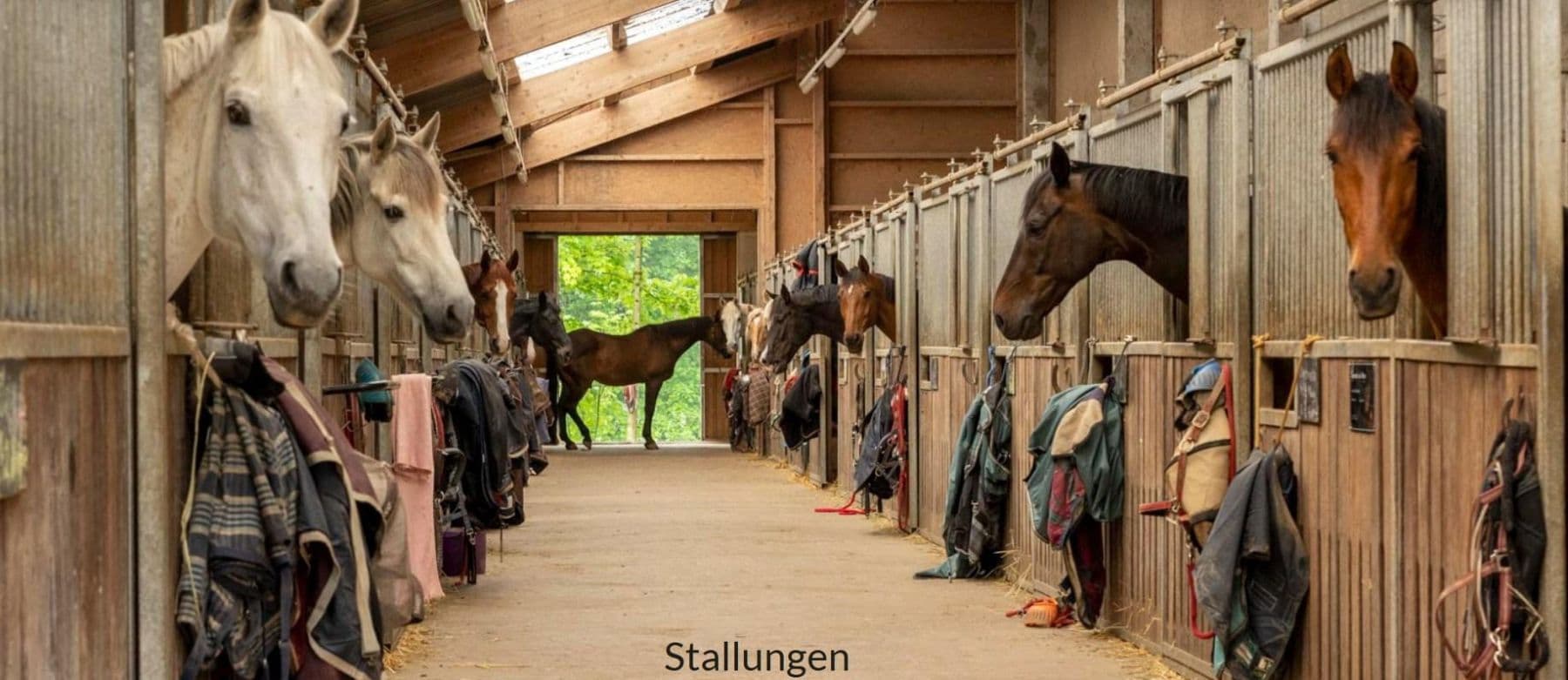 plot for sale, 820,000 m², Salem, Baden-Württemberg plot for sale, 820,000 m², Salem, Baden-Württemberg