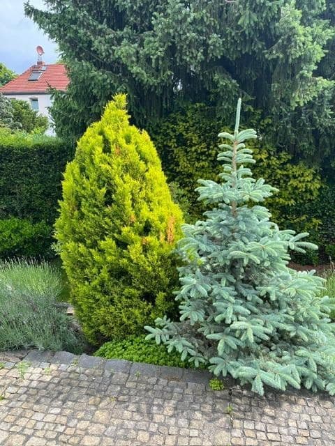 house for sale, 156 m², Berlin, Berlin house for sale, 156 m², Berlin, Berlin