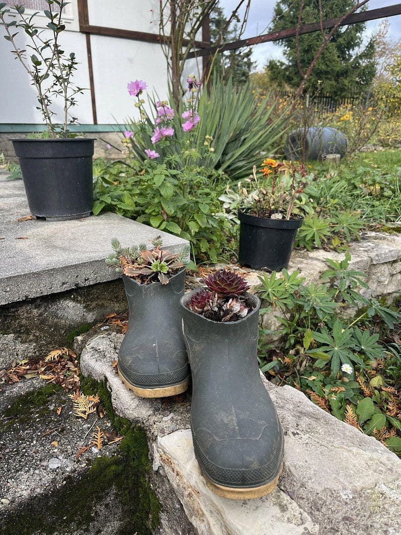 plot for sale, 594 m², Bad Berka, Thuringia plot for sale, 594 m², Bad Berka, Thuringia