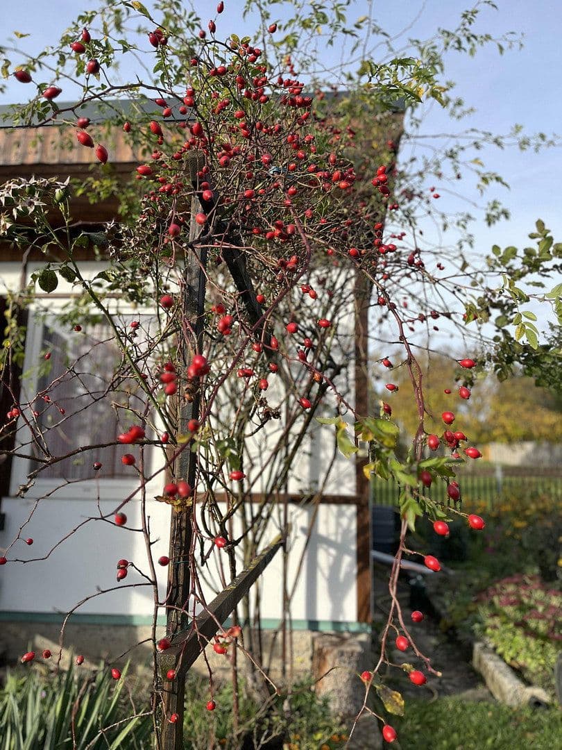 plot for sale, 594 m², Bad Berka, Thuringia plot for sale, 594 m², Bad Berka, Thuringia