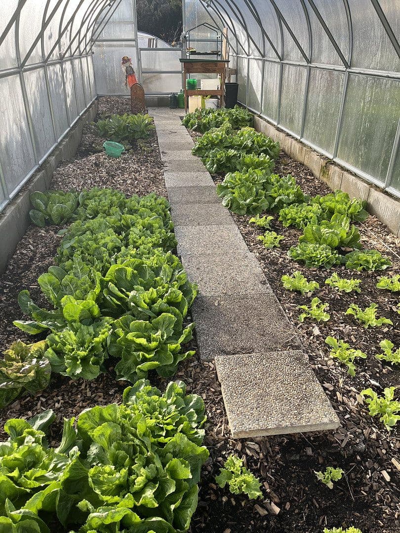 house for sale, 130 m², Bruck an der Mur, Styria house for sale, 130 m², Bruck an der Mur, Styria