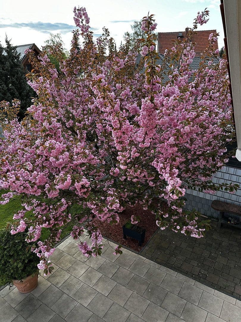 house for sale, 152 m², Mühlenbecker Land, Brandenburg house for sale, 152 m², Mühlenbecker Land, Brandenburg