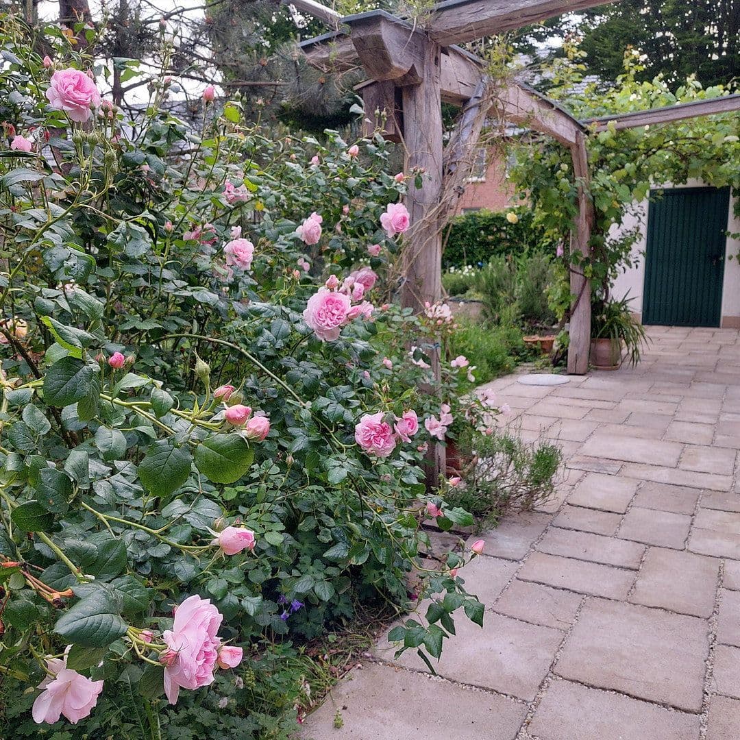 house for sale, 167 m², Kevelaer, North Rhine-Westphalia house for sale, 167 m², Kevelaer, North Rhine-Westphalia