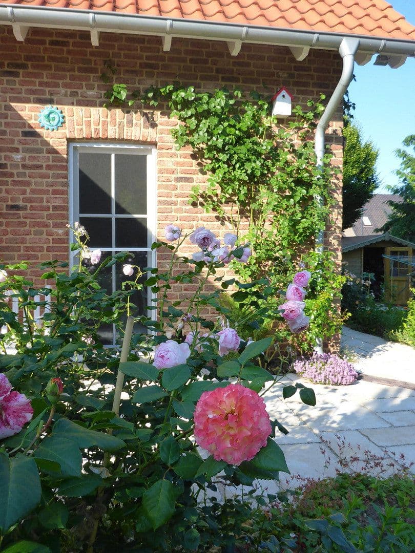 house for sale, 167 m², Kevelaer, North Rhine-Westphalia house for sale, 167 m², Kevelaer, North Rhine-Westphalia