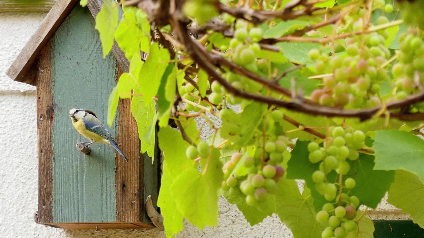 house for sale, 167 m², Kevelaer, North Rhine-Westphalia house for sale, 167 m², Kevelaer, North Rhine-Westphalia