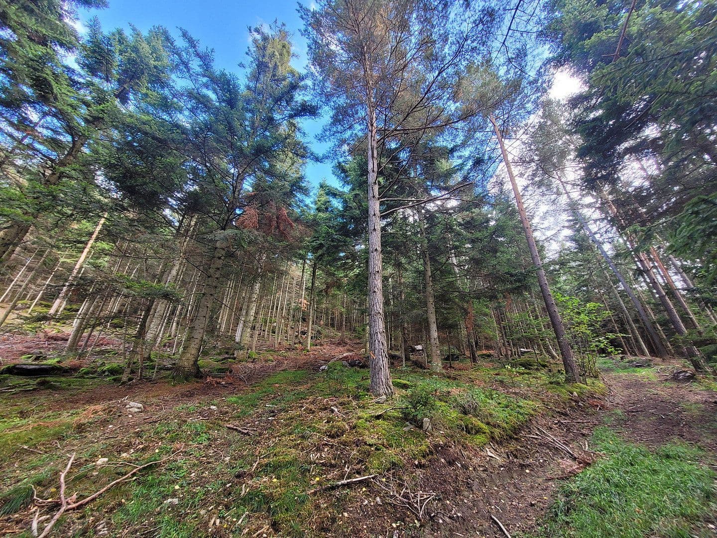 plot for sale, 82,935 m², Pöggstall, Lower Austria plot for sale, 82,935 m², Pöggstall, Lower Austria