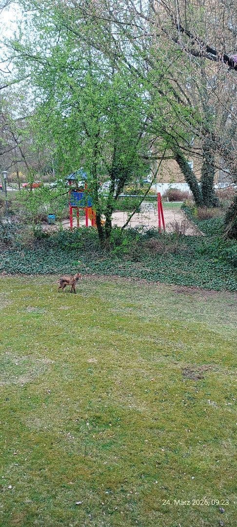 3 bedroom flat for sale, 86 m², Berlin, Berlin 3 bedroom flat for sale, 86 m², Berlin, Berlin