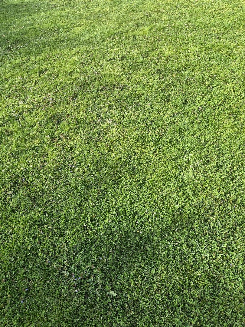 plot for sale, 414 m², Hollabrunn, Lower Austria plot for sale, 414 m², Hollabrunn, Lower Austria