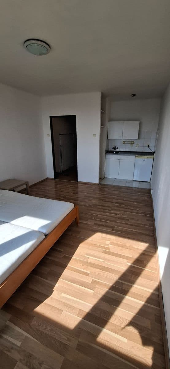 Small studio flat for sale, 28 m², Hlavatého, Prague, Prague Small studio flat for sale, 28 m², Hlavatého, Prague, Prague