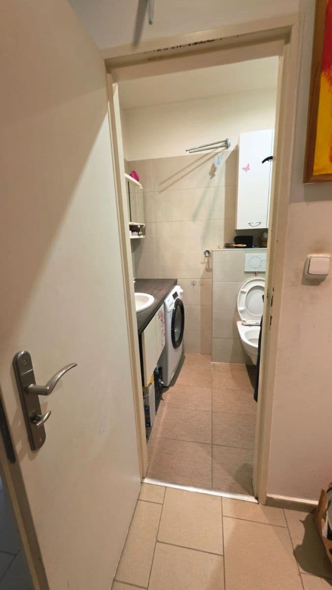 1 bedroom with open-plan kitchen flat to rent, 55 m², Dělnická, Prague, Prague 1 bedroom with open-plan kitchen flat to rent, 55 m², Dělnická, Prague, Prague