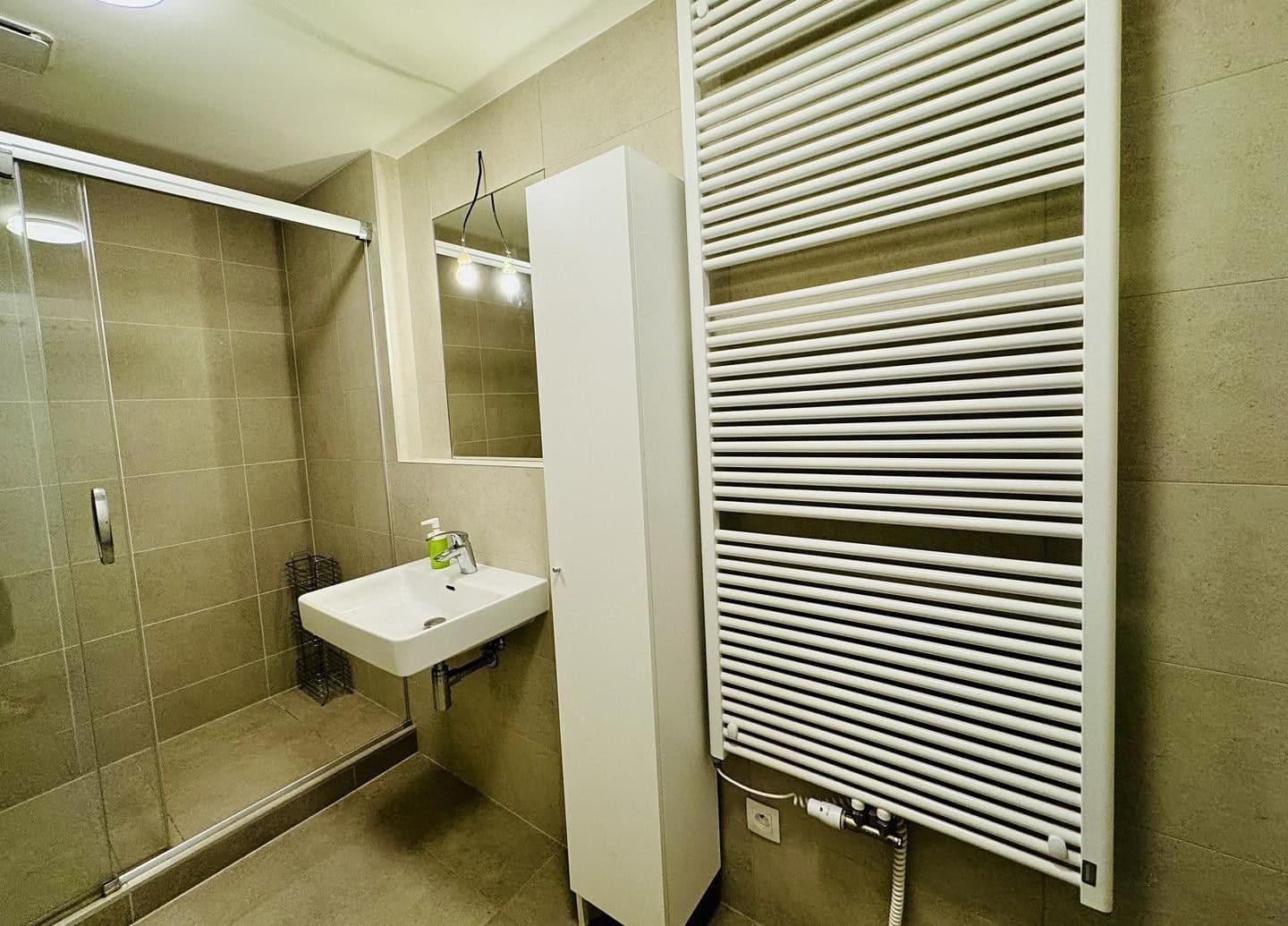 1 bedroom with open-plan kitchen flat to rent, 51 m², Benešova, Prague, Prague 1 bedroom with open-plan kitchen flat to rent, 51 m², Benešova, Prague, Prague