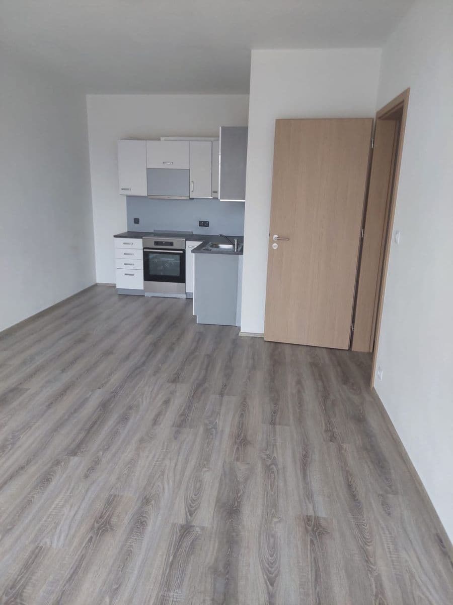 1 bedroom with open-plan kitchen flat to rent, 55 m², Františka Kováříka, Plzeň, Plzeňský Region 1 bedroom with open-plan kitchen flat to rent, 55 m², Františka Kováříka, Plzeň, Plzeňský Region